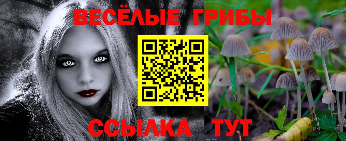Галлюциногенные грибы Psilocybe Кунгур