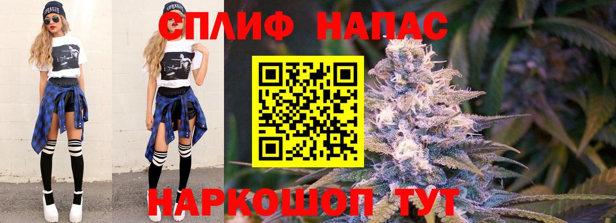 Каннабис планчик Кунгур